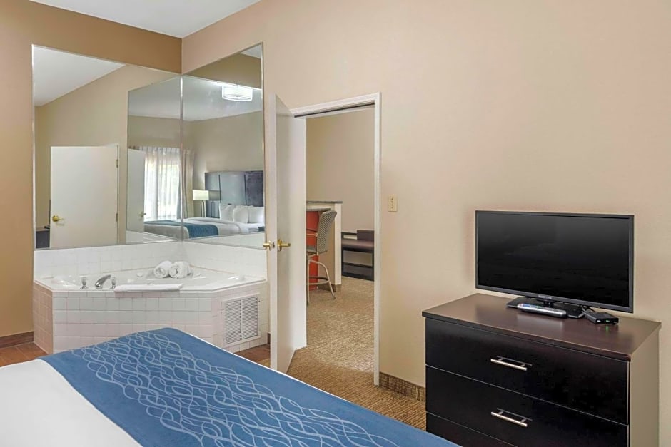 Comfort Inn & Suites Atlanta/Smyrna