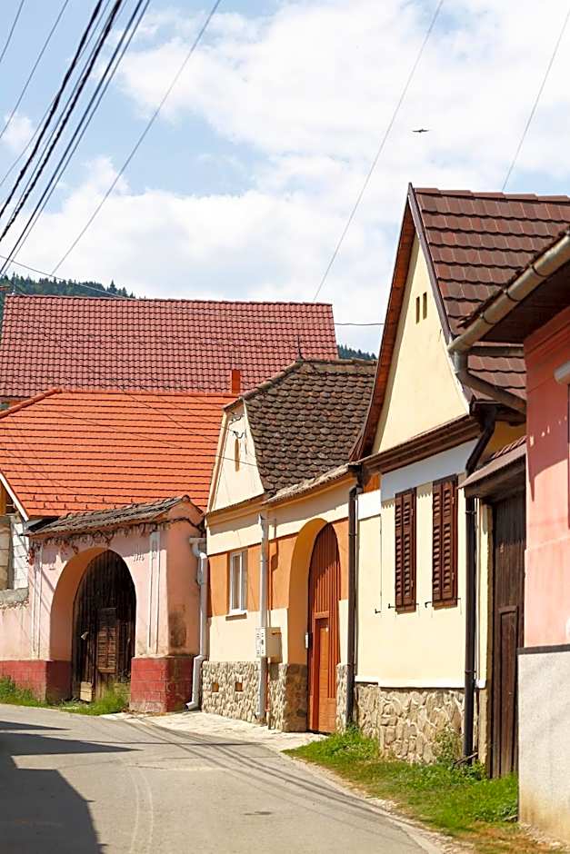 PORTAL Village Only Adults