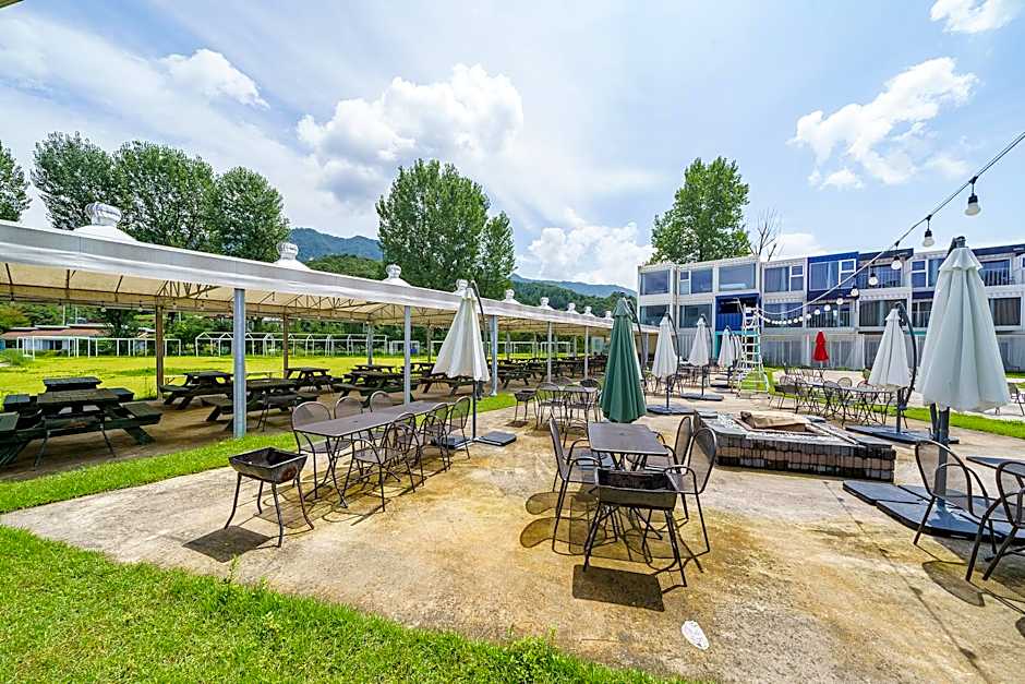 Parotia waterhouse hotel