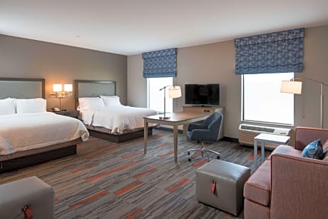 2 Qns Hearing Access Studio W/Sofabed Nosmok