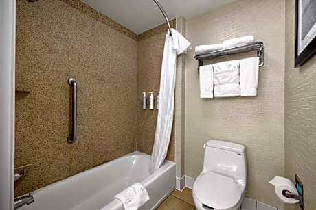 2Qn Mobility Access Roll In Shower Suite Nsmk
