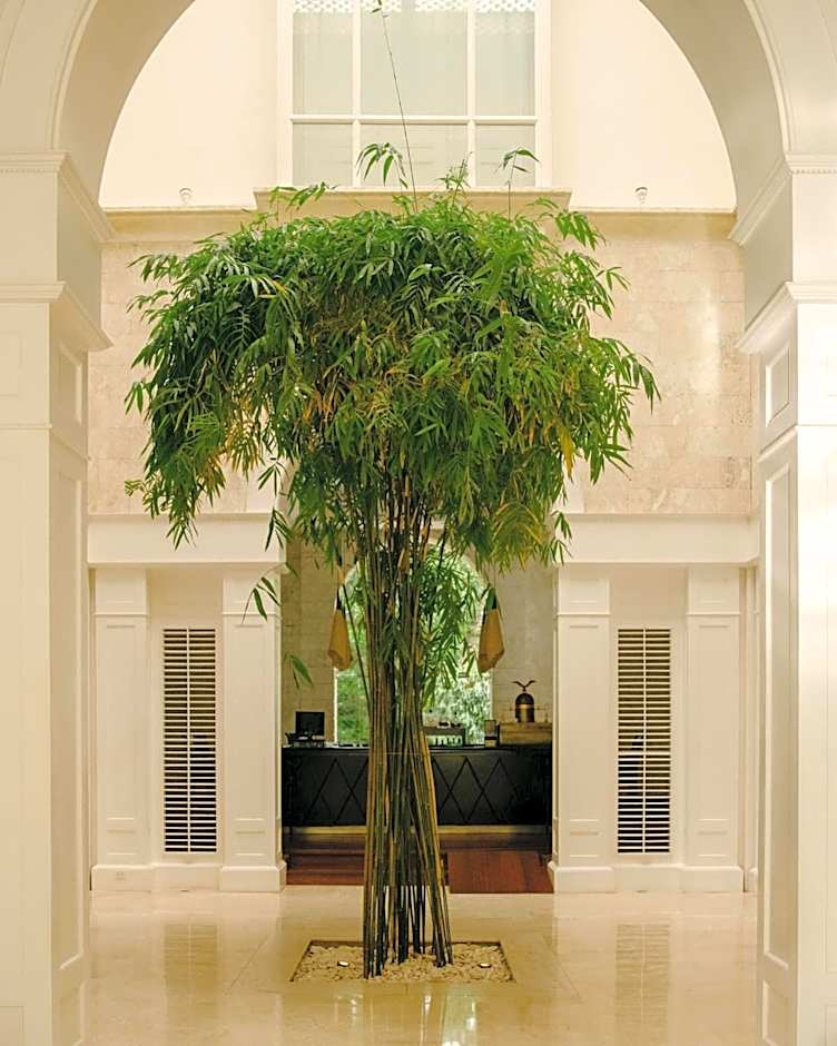 Casa Colonial Beach & Spa