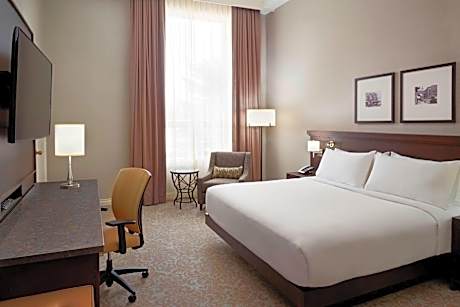 Guest Room with King Bed