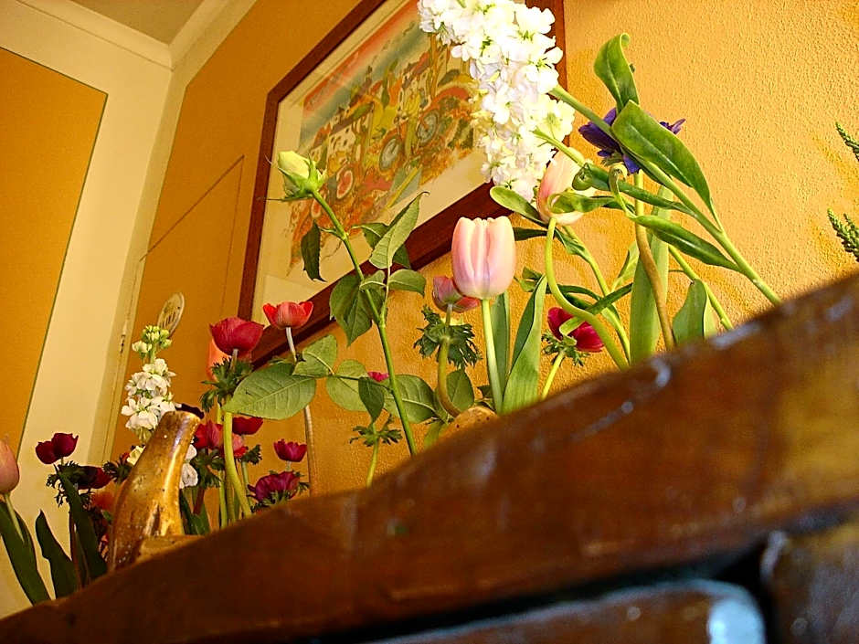 Albergo San Martino & Depandance