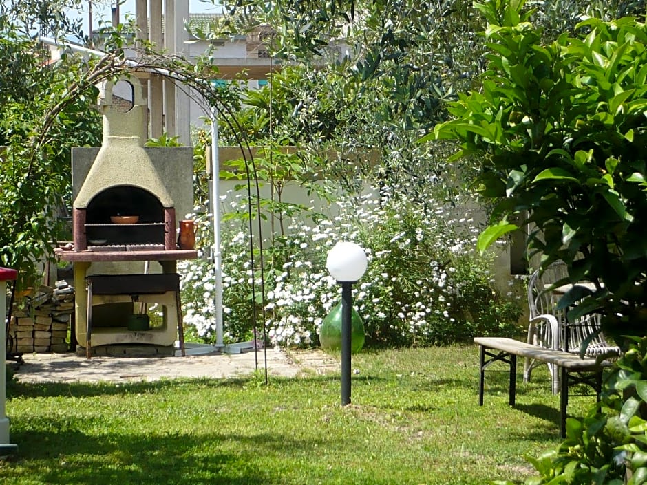 Villa Carol Appartamento e B&B