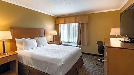 1 QUEEN BED,NSMK,NOPET,WHISPD,COFMKR,MICRFG,IRON,FULL BREAKFAST