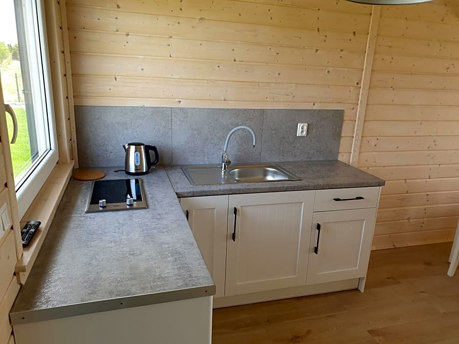 Szara Gąska w Gąskach