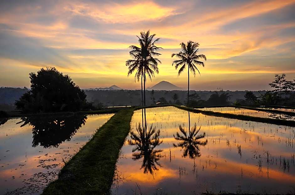 Ti Amo Bali