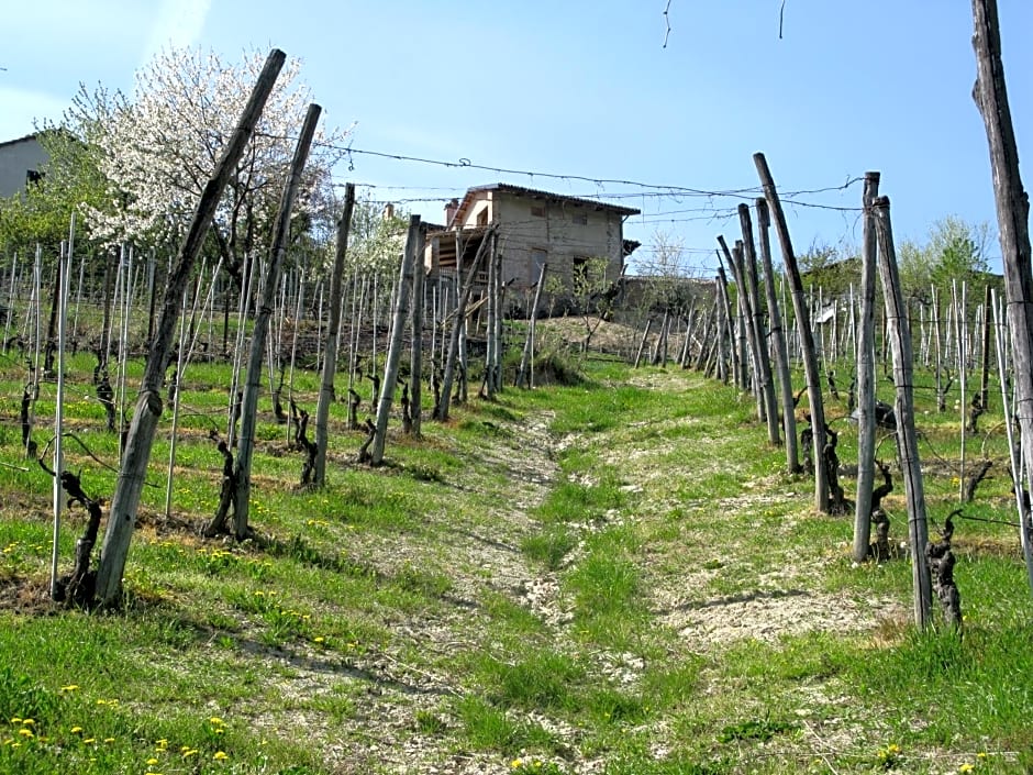 Acaso B&B – Serralunga d’Alba, NY