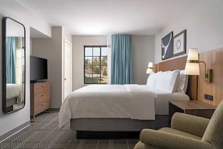 1 King Bed 1 Bedroom Suite