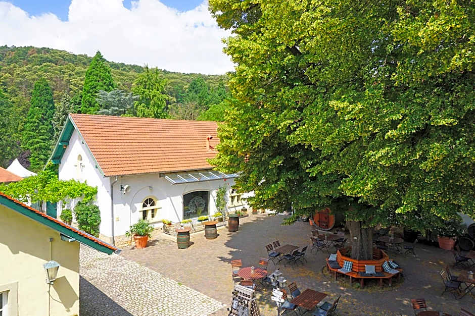 Hotel Annaberg