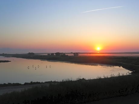 Chambre les flamants, climatisation, avec vue imprenable sur les étangs, petit déjeuner offert