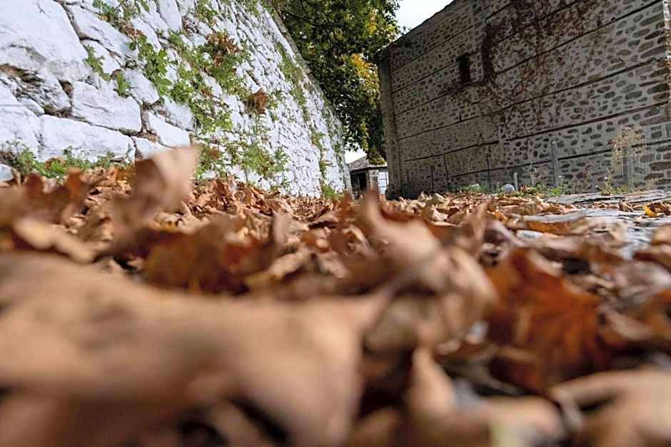 Archontiko Michael Pelion