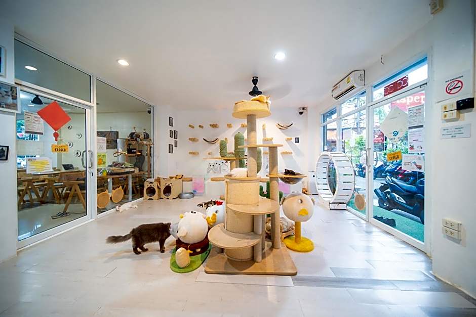 Patong Beach Side Hotel