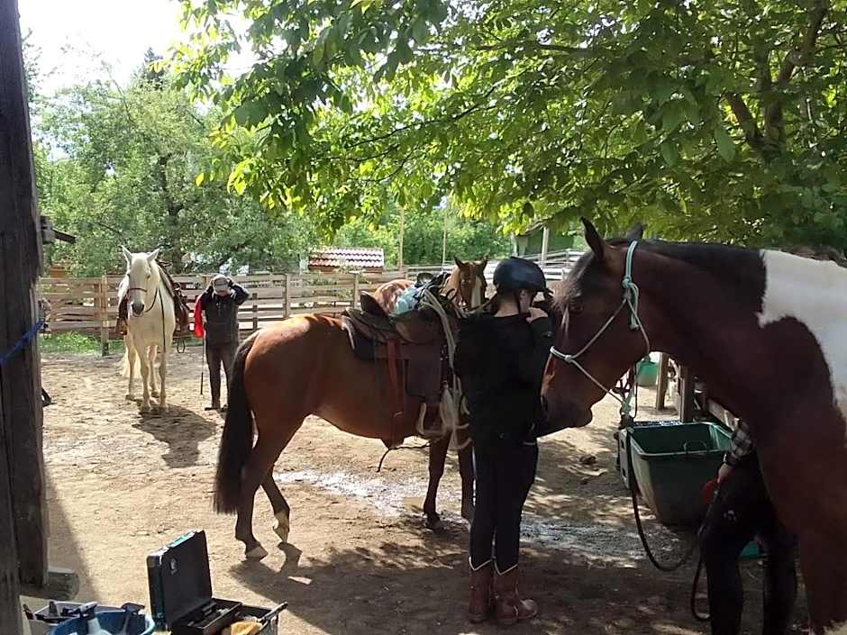 Der Blankhof "Back to Roots"