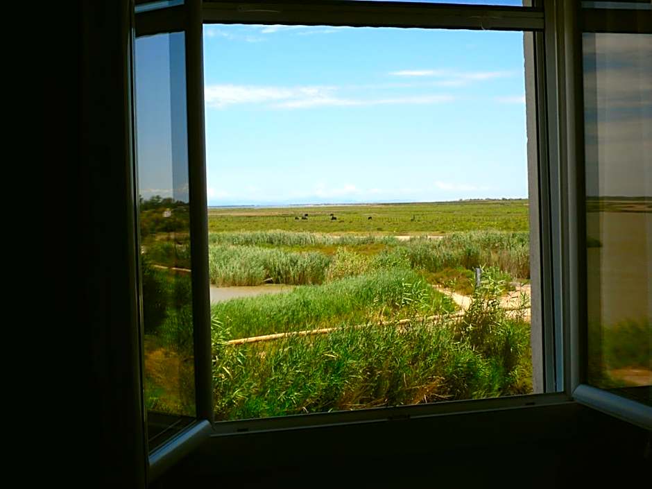 Chambre les flamants, climatisation, avec vue imprenable sur les étangs, petit déjeuner offert