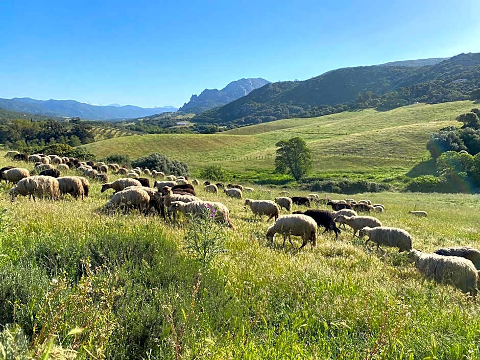 Ferme de Roccapina