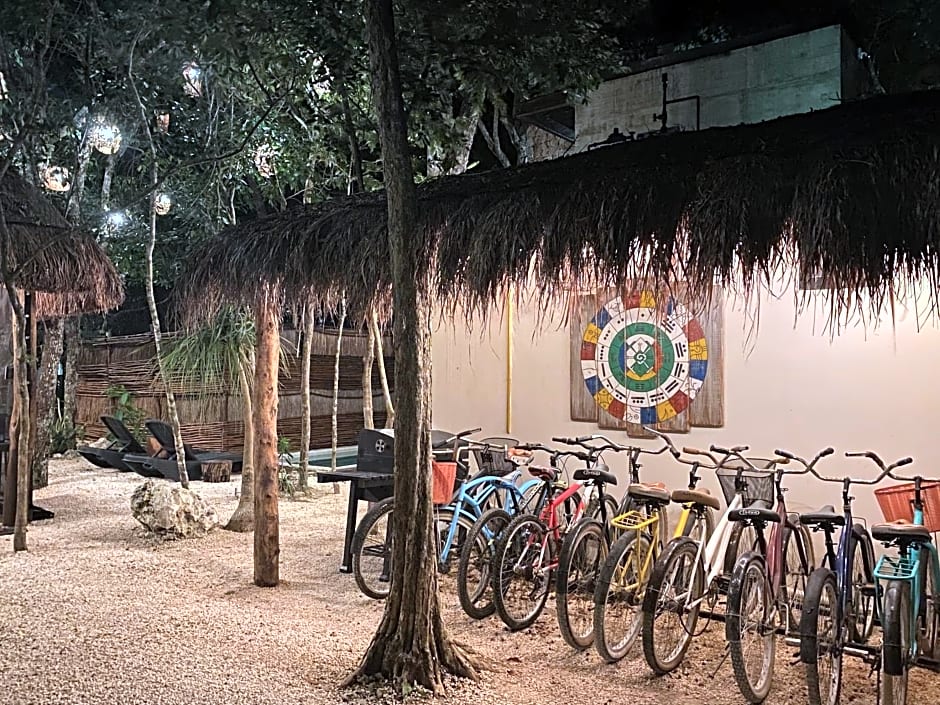 La Casa de María 11:11
