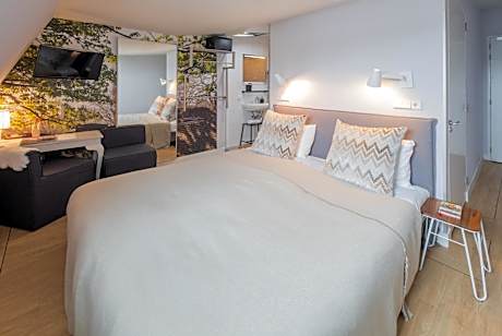 Superior Single Room