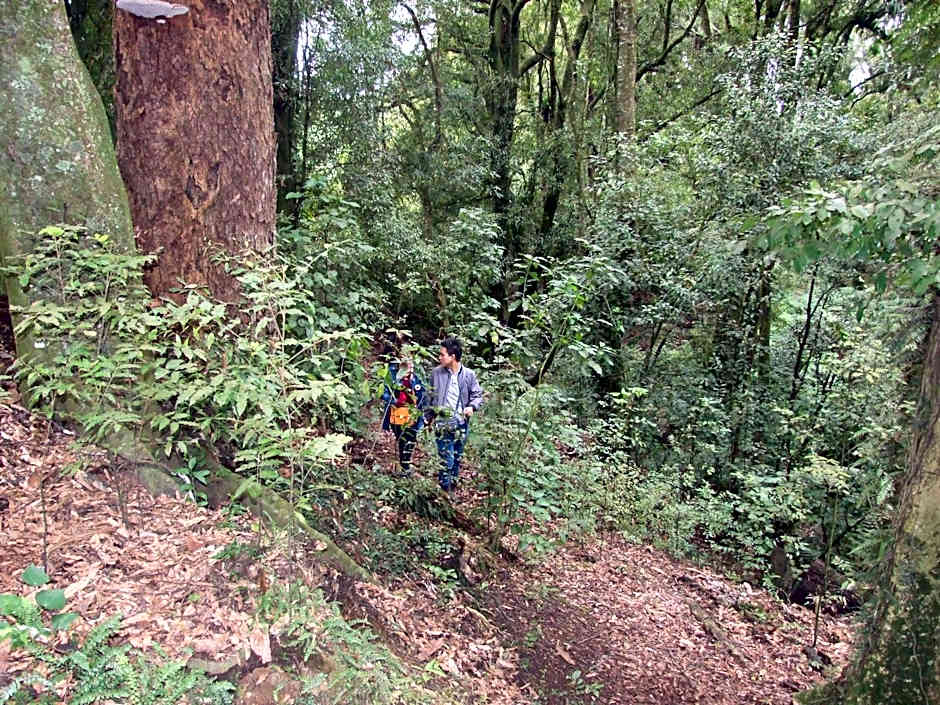 Kauri Lodge Karapiro