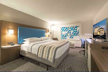 1 King Bed Non-Smoking