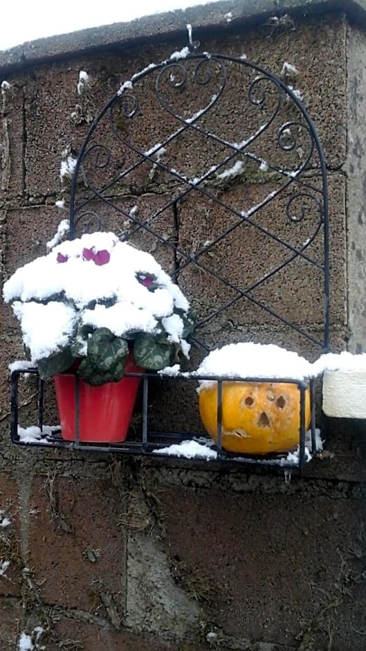 La Maison Des Fleurs