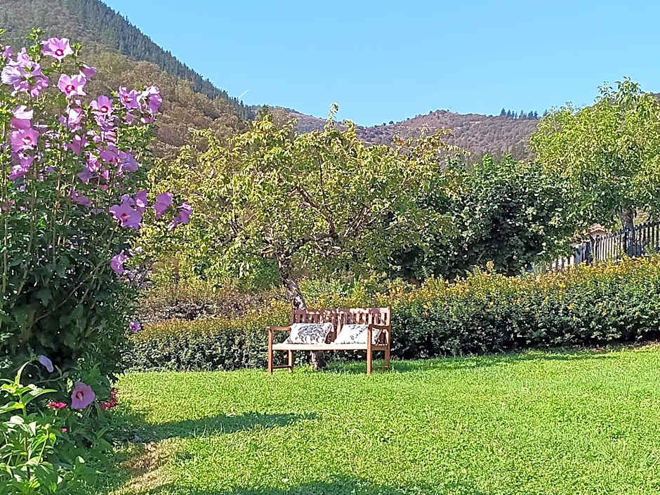 Hotel Finca Malvasia - Adults only