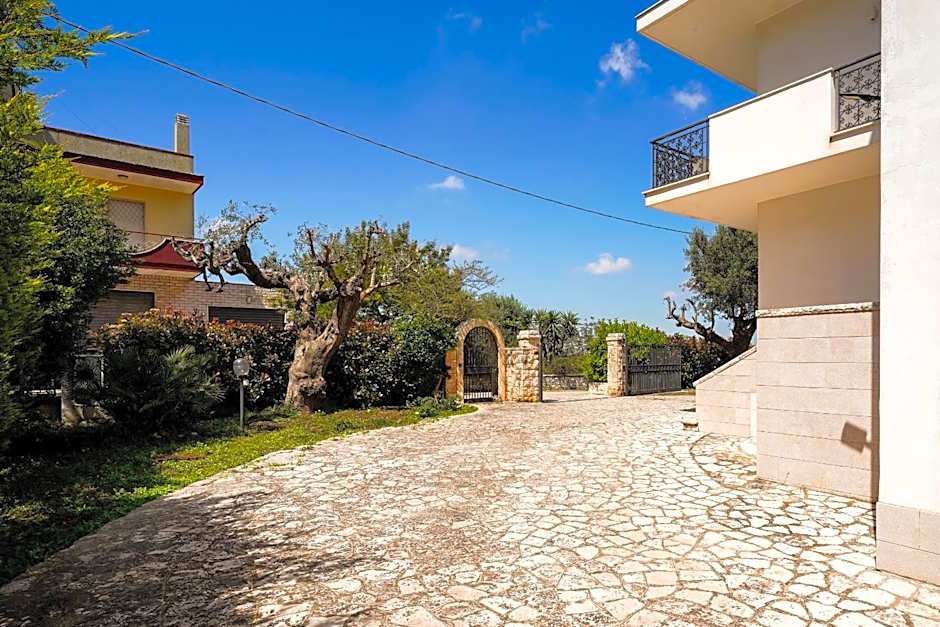 Villa Dragonfly by BarbarHouse