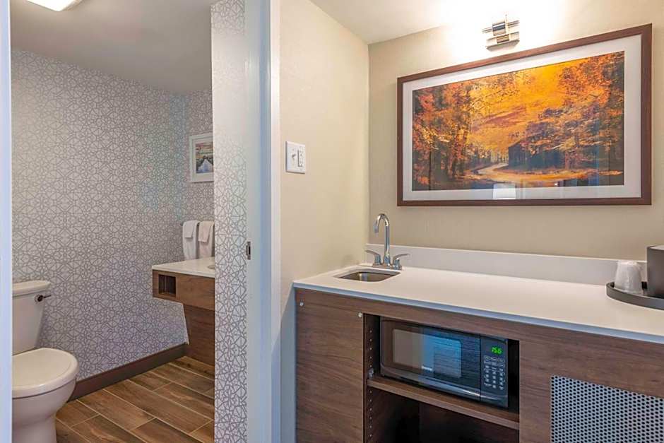 Hampton Inn Manchester Downtown