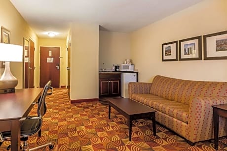 1 King Bed Suite Nonsmoking