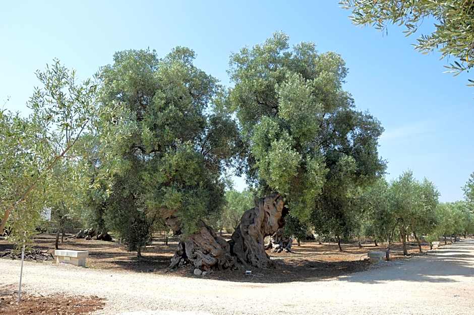 Agriturismo Masseria San Leonardo