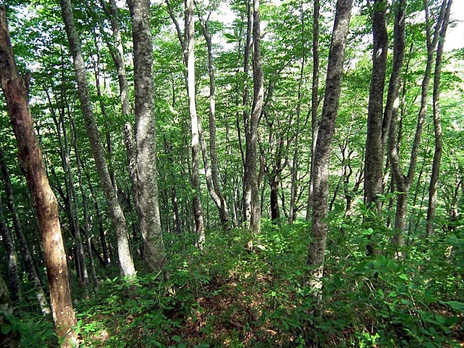 Misato Town Community Lodge Wakuasu