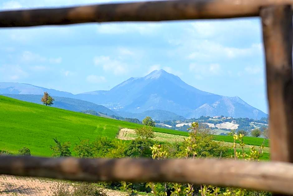 Agriturismo B&B La Cerasa