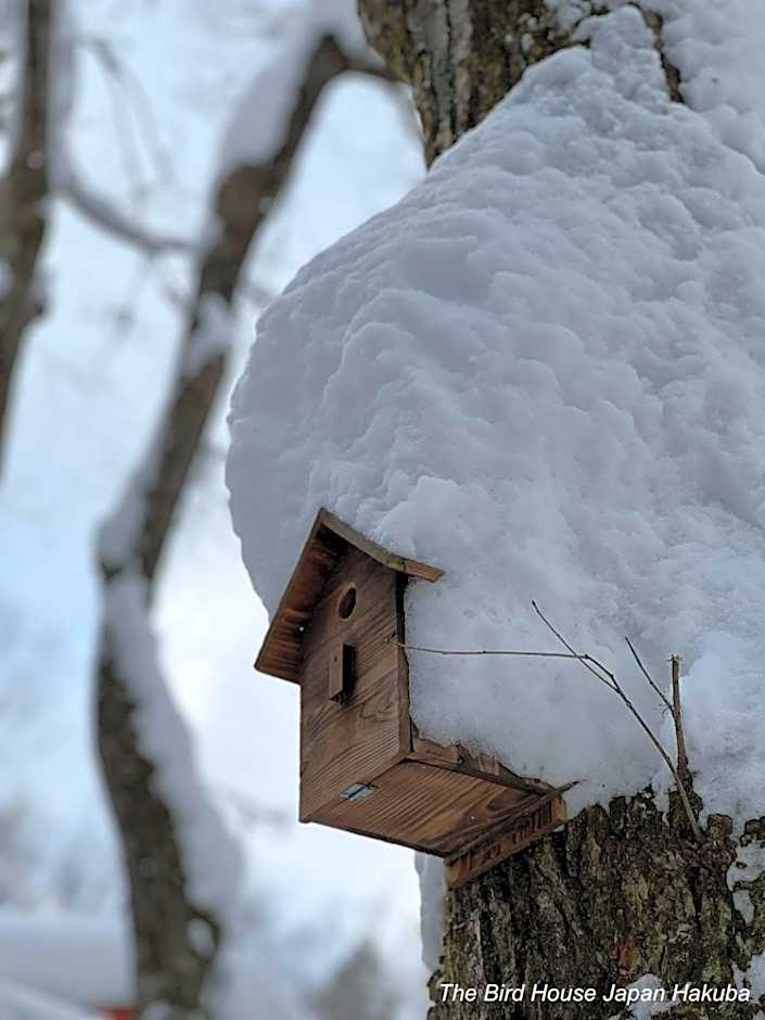 The Guest House Japan Hakuba