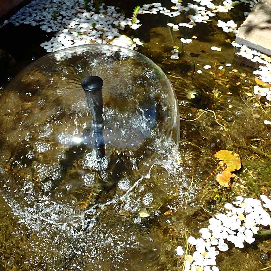 Bowral Road Art Gallery Bed and Breakfast