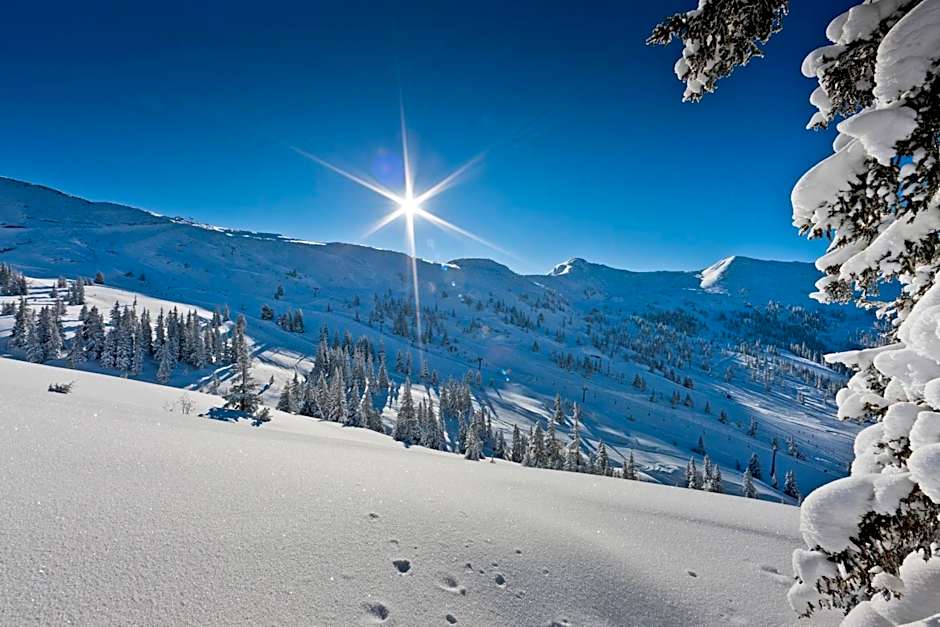 Alpengasthof Grimmingblick