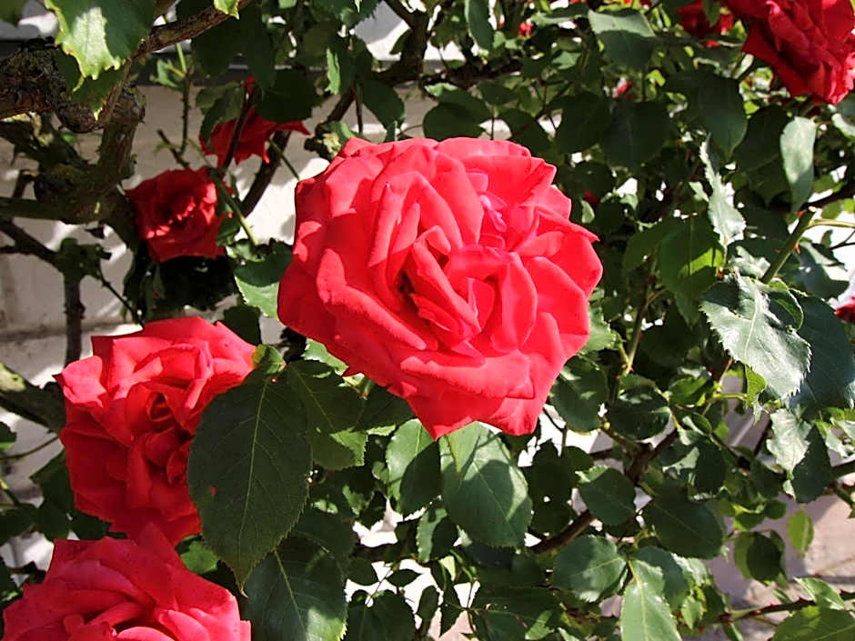 Hotel am Schlosspark Superior