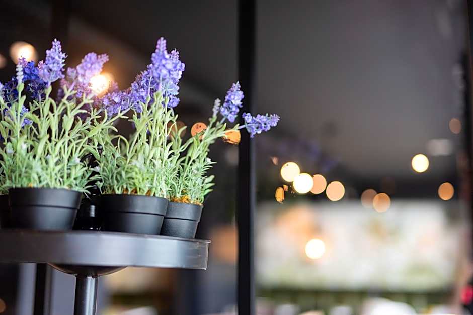 Kyriad Crepy En Valois