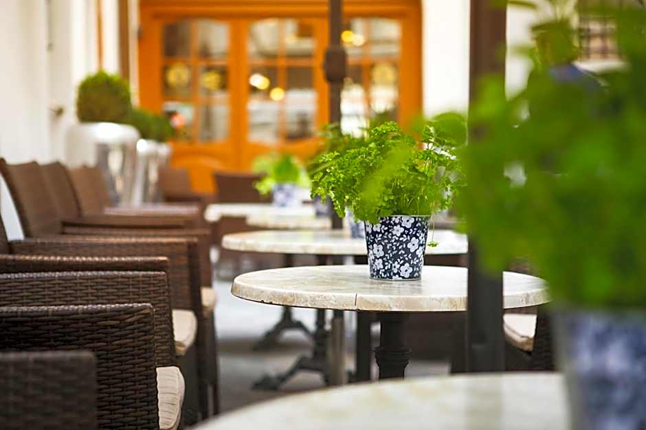 Hotel U Zlateho jelena