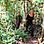 Dantica Cloud Forest Lodge
