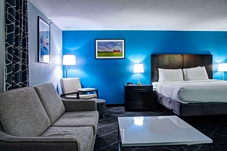 1 King Bed Non-Smoking Executive Room Sofabed For One Person Jetted Tub Poolside Microwave And Refri