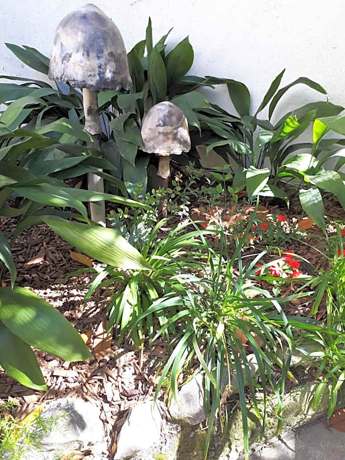 Le Ryad Boutique Hotel