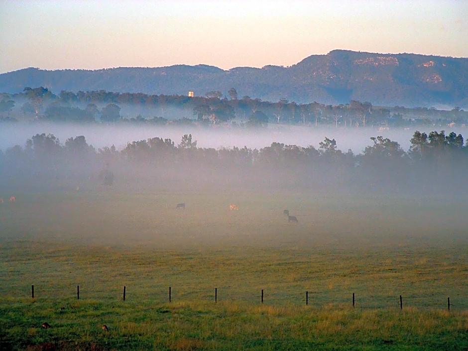 Adina Vineyard Accommodation