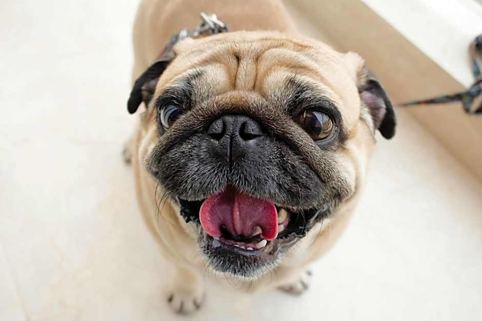 Candlewood Suites San Marcos By IHG