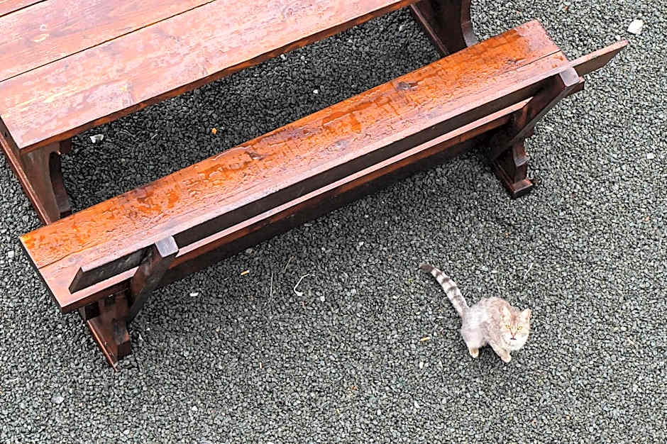 Planinarski dom ''Bijele stijene'' Mountain lodge