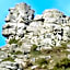 The Sandrock