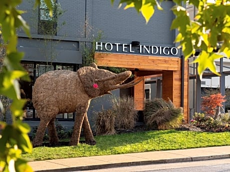 Hotel Indigo Chattanooga - Downtown