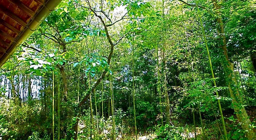 Kominka Sharehouse Hooju