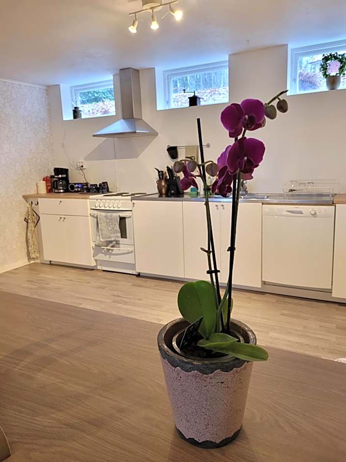 Bokskogens Guesthouse