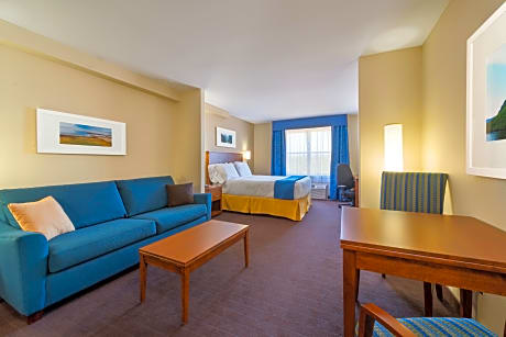 1 Queen Standard Sofa Bed Wet Bar